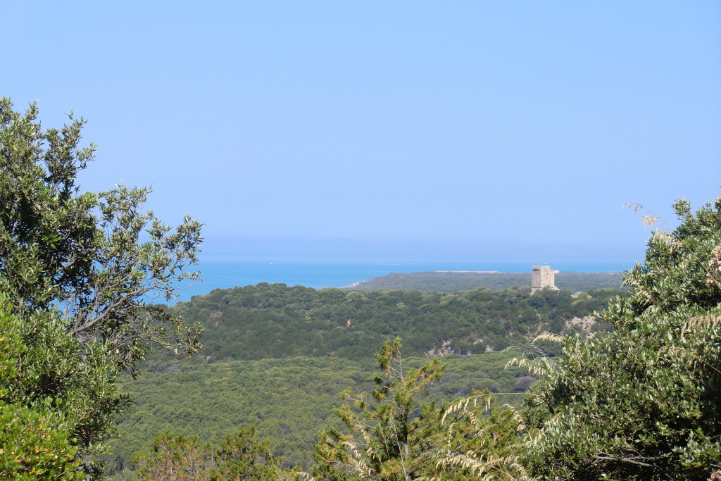 escursioni a piedi e in bicicletta parco della maremma